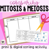 Comparing Mitosis & Meiosis Sorting Activity