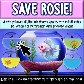 Preview of Photosynthesis & Cell Respiration Relationship Interactive Digital Lab