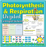 Photosynthesis and Cellular Respiration Digital Review Act
