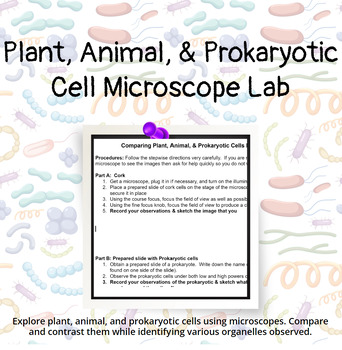 Preview of Comparing Plant, Animal, and Prokaryotic Cells Microscope Lab