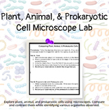 Comparing Plant, Animal, and Prokaryotic Cells Microscope Lab