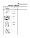 Comparing Plant and Animal Cells Worksheet