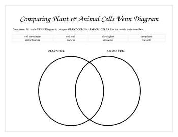 Comparing Plants and Animal Cells Venn Diagram by Charlotte Thompson