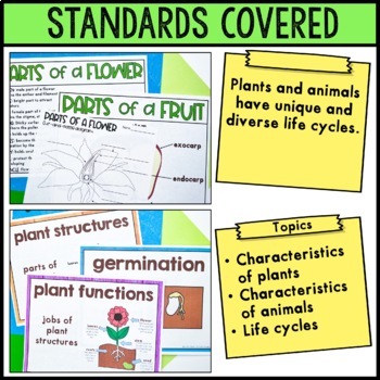 Characteristics of Plants and Animals