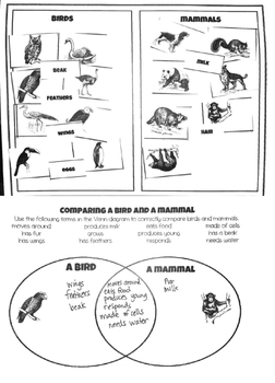 Comparing Birds and Mammals: A cut and sort activity for MS and HS