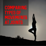 Comparing Types of Movements at Joints- Worksheet and Answer Key