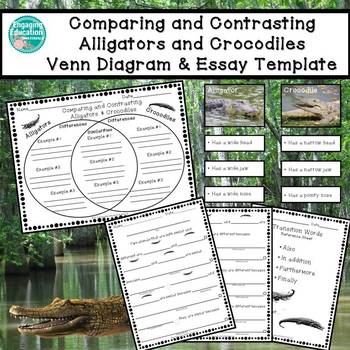 Реферат: Alligators And Crocodiles Essay Research Paper Leigh