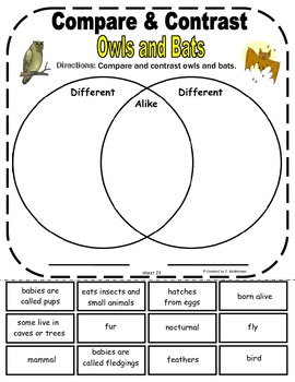 Compare and Contrast: Owls & Bats (SECOND EDITION) by Jennifer K