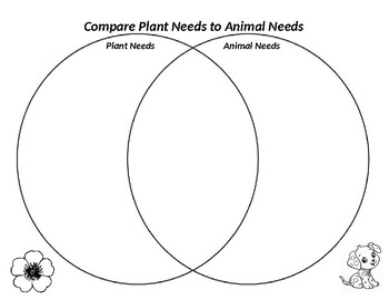 Preview of Comparing plant and animal needs