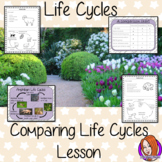 Comparing Animal Life Cycles Lesson