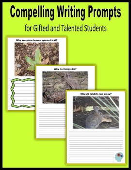 Preview of Compelling Writing Prompts for Gifted and Talented Students