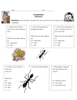 Preview of Competition Worksheet (HW)