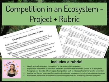 Preview of Competition in an Ecosystem - Project + Rubric