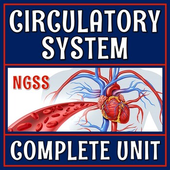 Preview of Complete Circulatory System Activity Unit with PPT Presentation Activities Quiz