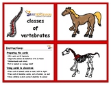 Complete Classes of Vertebrates Color