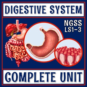 Preview of Complete Digestive System Activity Unit with PPT Presentation Activities Quiz