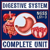 Complete Digestive System Activity Unit with PPT Presentat
