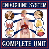 Complete Endocrine System Unit with PPT Presentation Activ
