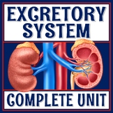 Complete Excretory System Activity Unit with PPT Presentat