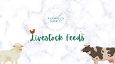 Complete Guide to Livestock Feeds