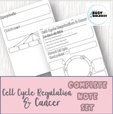 Complete Note Set: Cell Cycle Regulation & Cancer