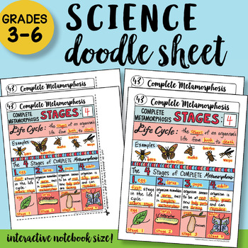 Preview of Complete Metamorphosis Doodle Sheet - So Easy to Use! PPT included