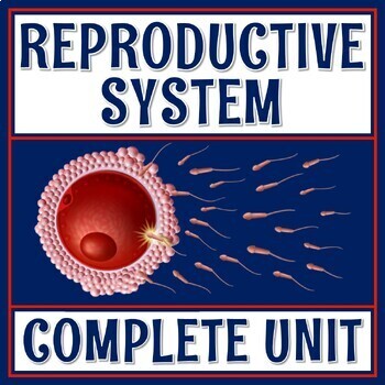 Preview of Complete Middle School Reproductive System Unit with Notes Activities Quiz