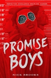 Complete Novel Study Guides for Promise Boys by Nick Brooks