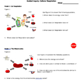 Complete Photosynthesis and Cell Respiration Unit