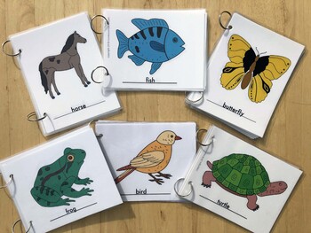 Preview of Complete Set of 6- Parts of Animal Control Cards and Worksheets- BEST DEAL!