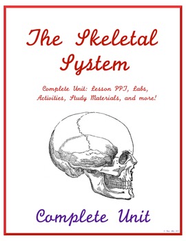 Preview of Complete Skeletal System Unit - Middle School Science