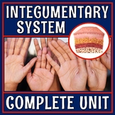 Complete Skin Integumentary System Activity Unit Presentat