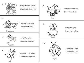 Complete and Incomplete Metamorphosis - Color-By-Number by JH Lesson Design