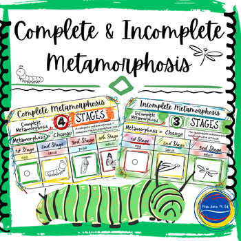 Preview of Complete and Incomplete Metamorphosis SC.4.L.16.4 and NGSS Lesson
