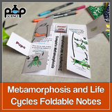 Complete and Incomplete Metamorphosis Foldable: Life Cycle