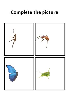 Preview of Complete the pictures - Insects