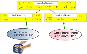 Preview of Complex Numbers, Classify & Define 2 Student References & 3 Assignments on SMART