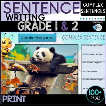 Preview of Complex Sentences Grade 1 and 2