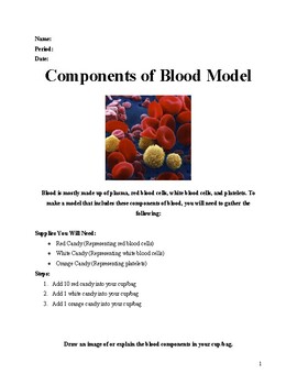 Preview of Components of Blood Model