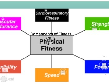 Preview of Components of Fitness