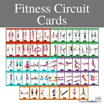 Preview of Components of Fitness Circuit Cards