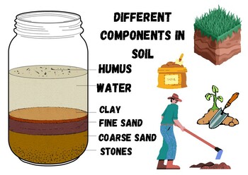 Components of Soil by Aljon Talacay | TPT