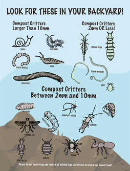 Compost critters and what they can tell you