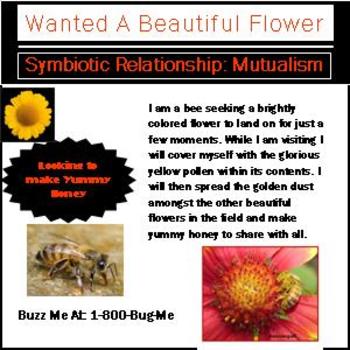 Preview of Symbiotic relationship want ad example