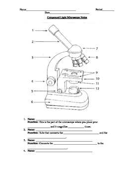 Compound Light Microscope Notes Sheet by Audrey Russell | TPT