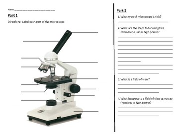 Compound Microscope worksheet by Lauren Stewart | TpT
