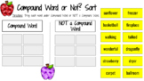 Compound Word or NOT?  Google Slides Sorting Activity