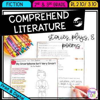 Preview of Comprehend Literature Reading Fiction Passages Questions 2nd 3rd Grade Worksheet