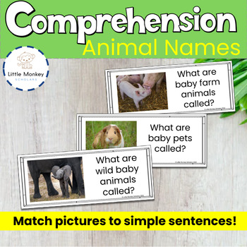 Comprehension Animal Names with real photos by Little Monkey Scholars