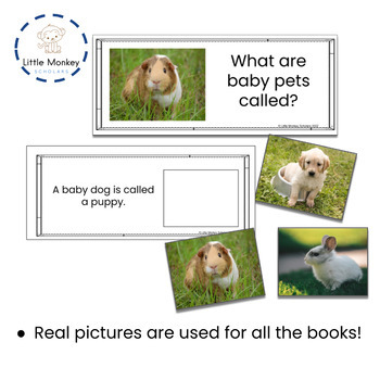Comprehension Animal Names with real photos by Little Monkey Scholars